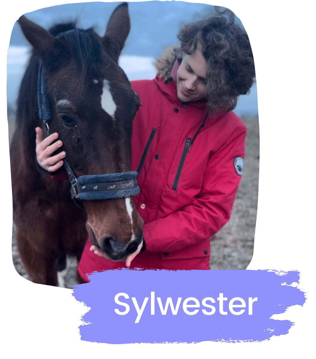 Sylwester z koniem